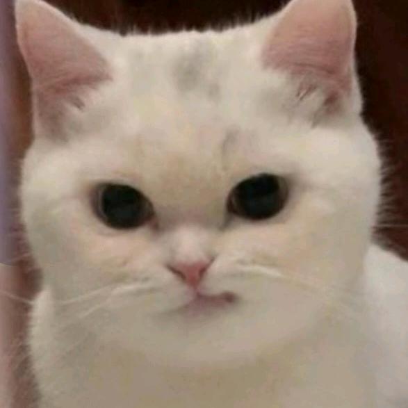 🌈是小猪小猪呀