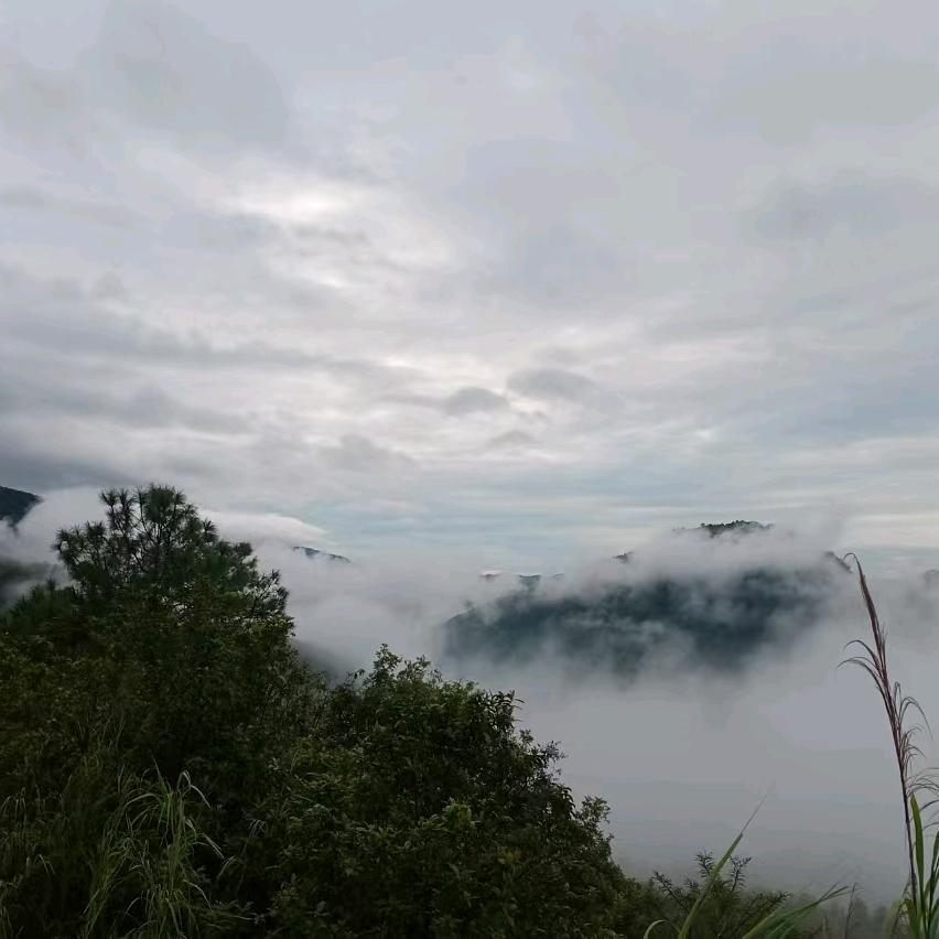 平淡小哥   啊斌