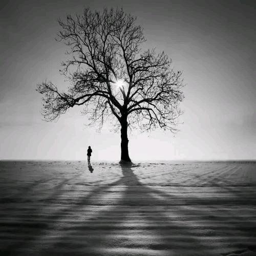 落花有意随流水