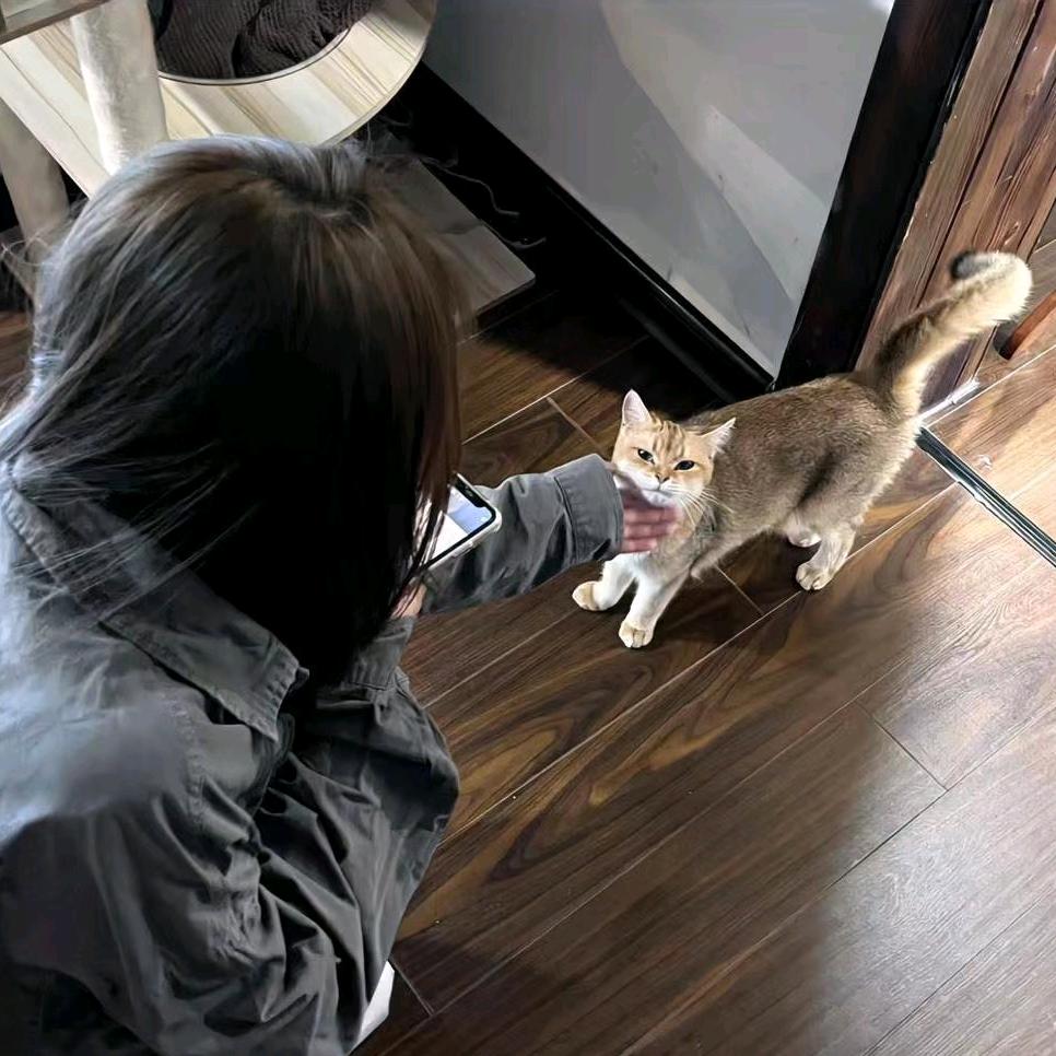 七不七西瓜