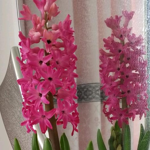 ℒᎭℯ⃝傻💞丫头࿐༗