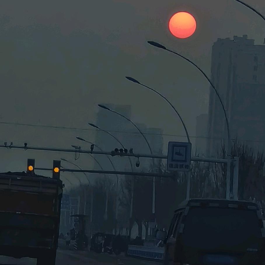 市井小仓库—🦌