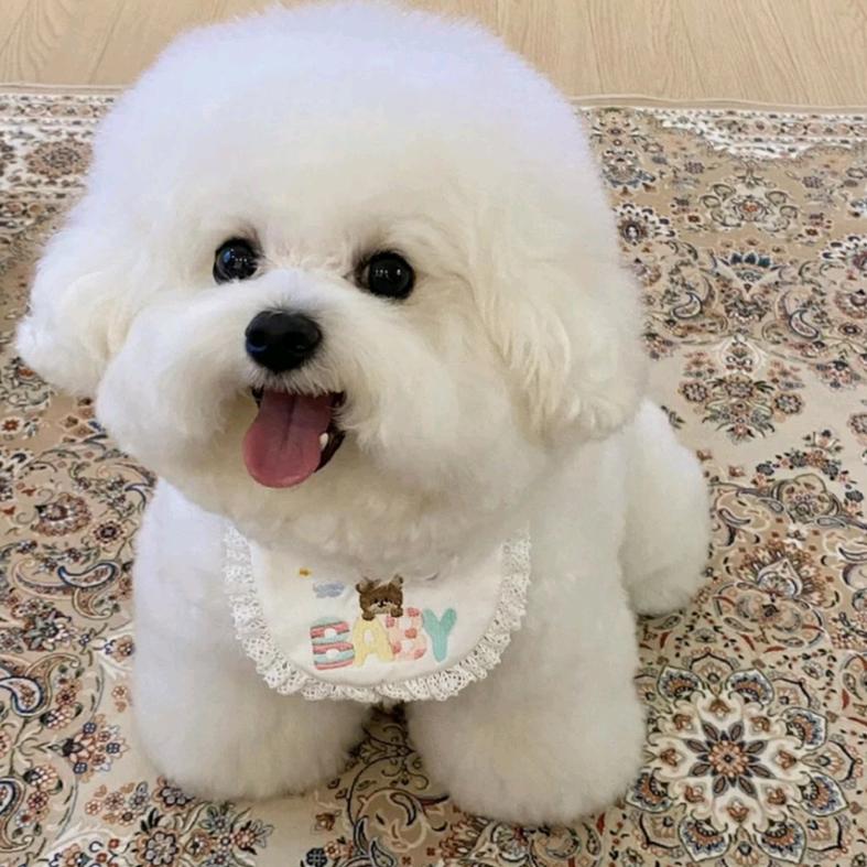 广州栎米电推广号·