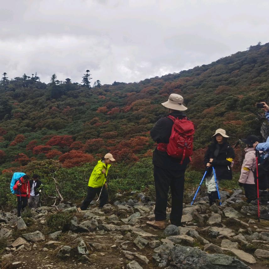 哈巴雪山行峰户外俱乐部