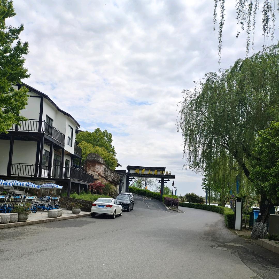 🌲🌻🎉爱音乐爱草原🌻🎄🎉