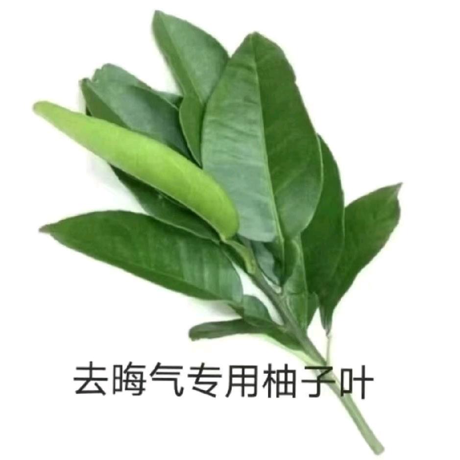 堂哥