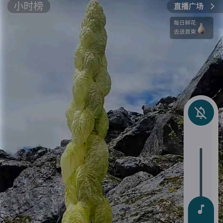 好日子