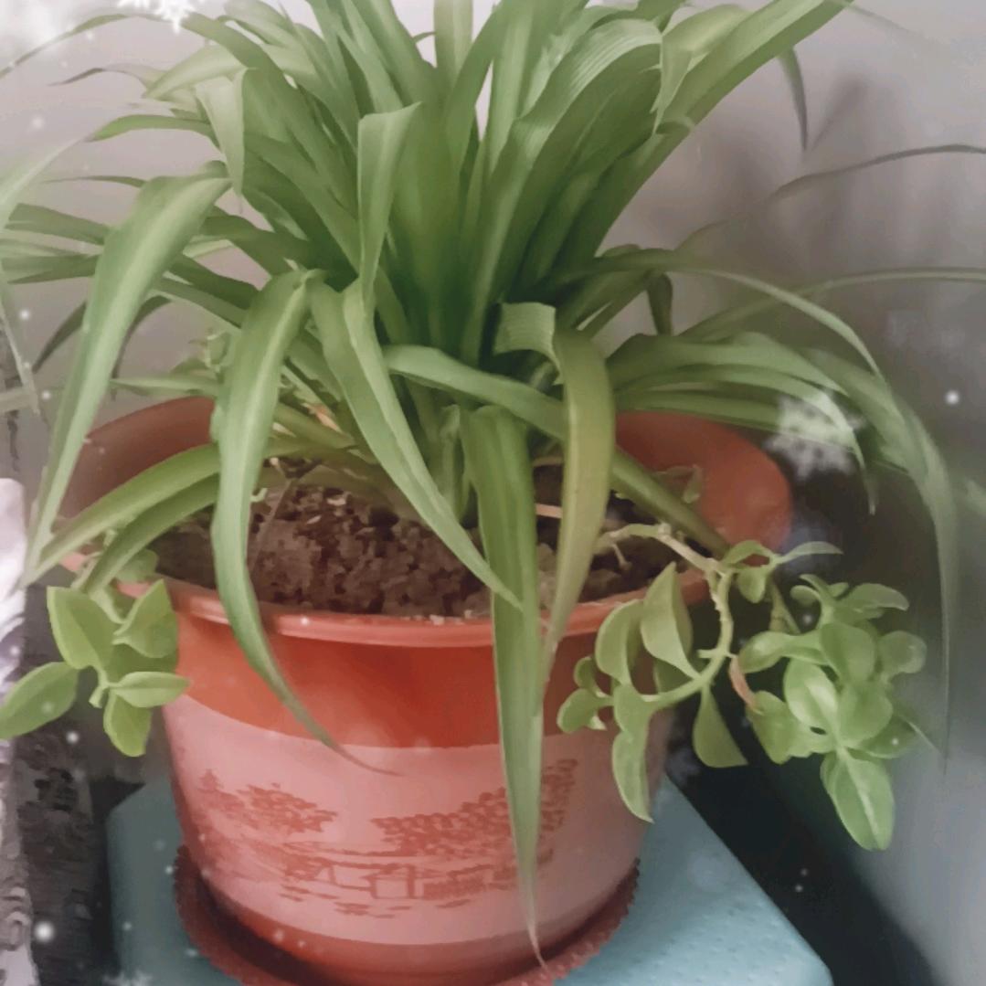 🥀এ夏末᭄ꦿ秋凉🧥ོ