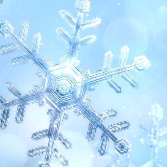 知何ZH（养了黎饱饱两个月猫毛过敏了）