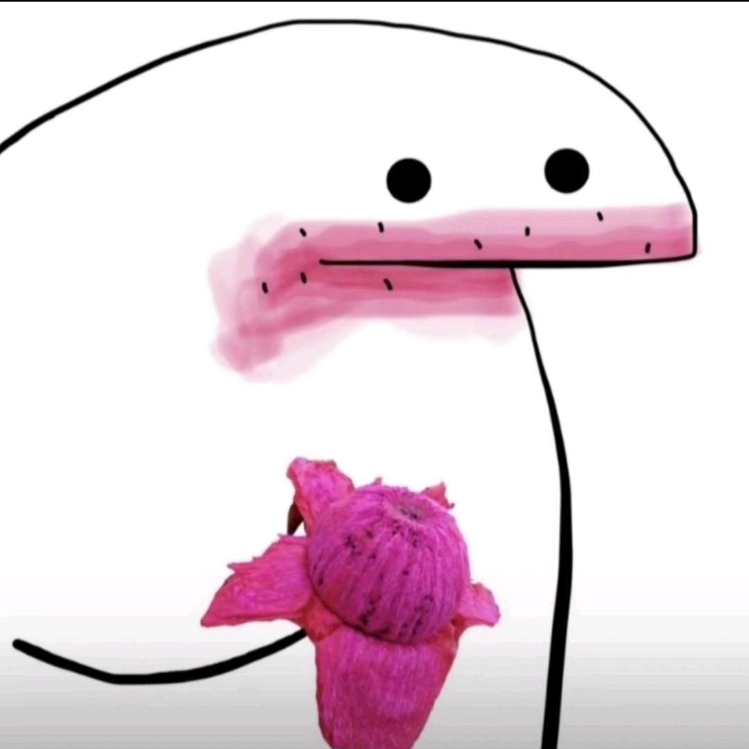 云抱月
