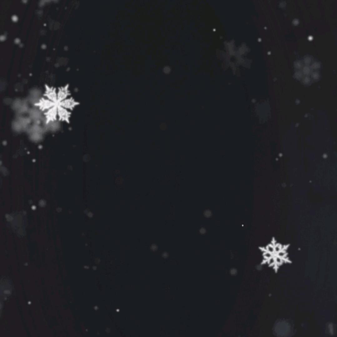 真真和两个皮夹克