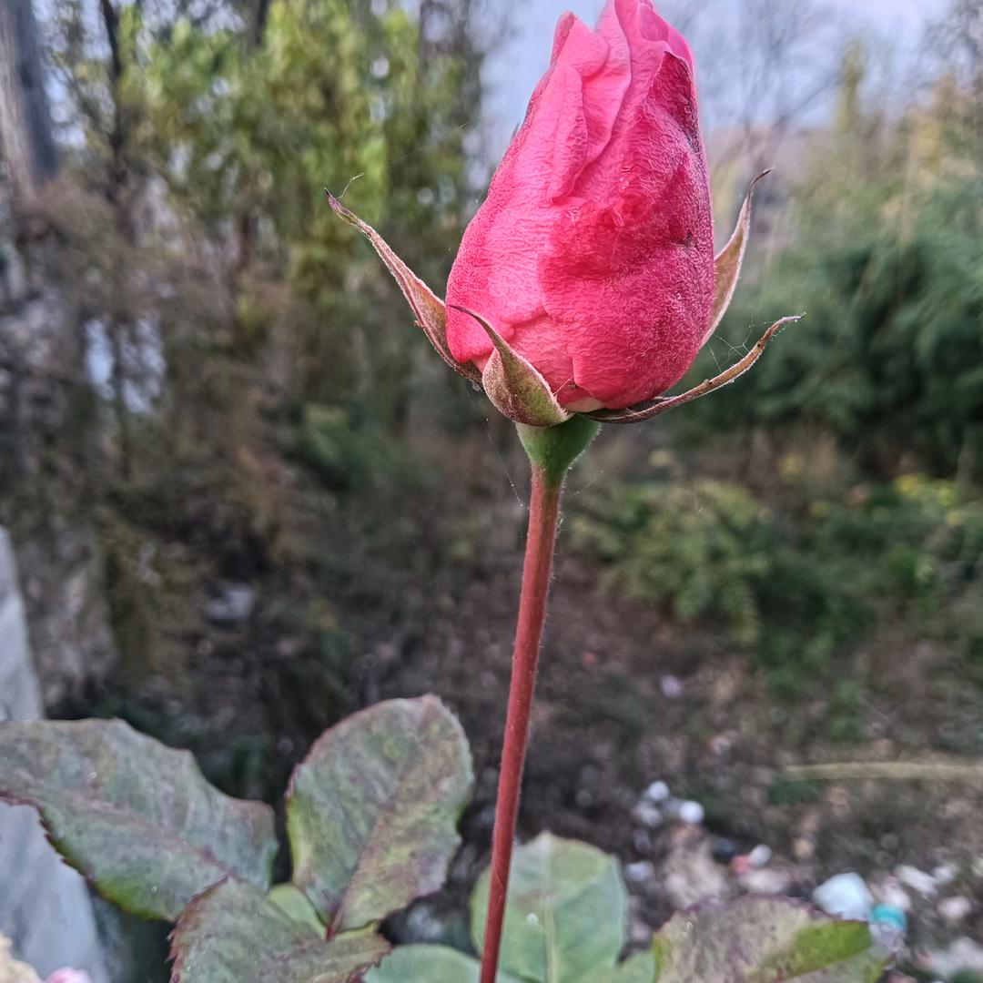 找个爱我和我爱的人过完后半生