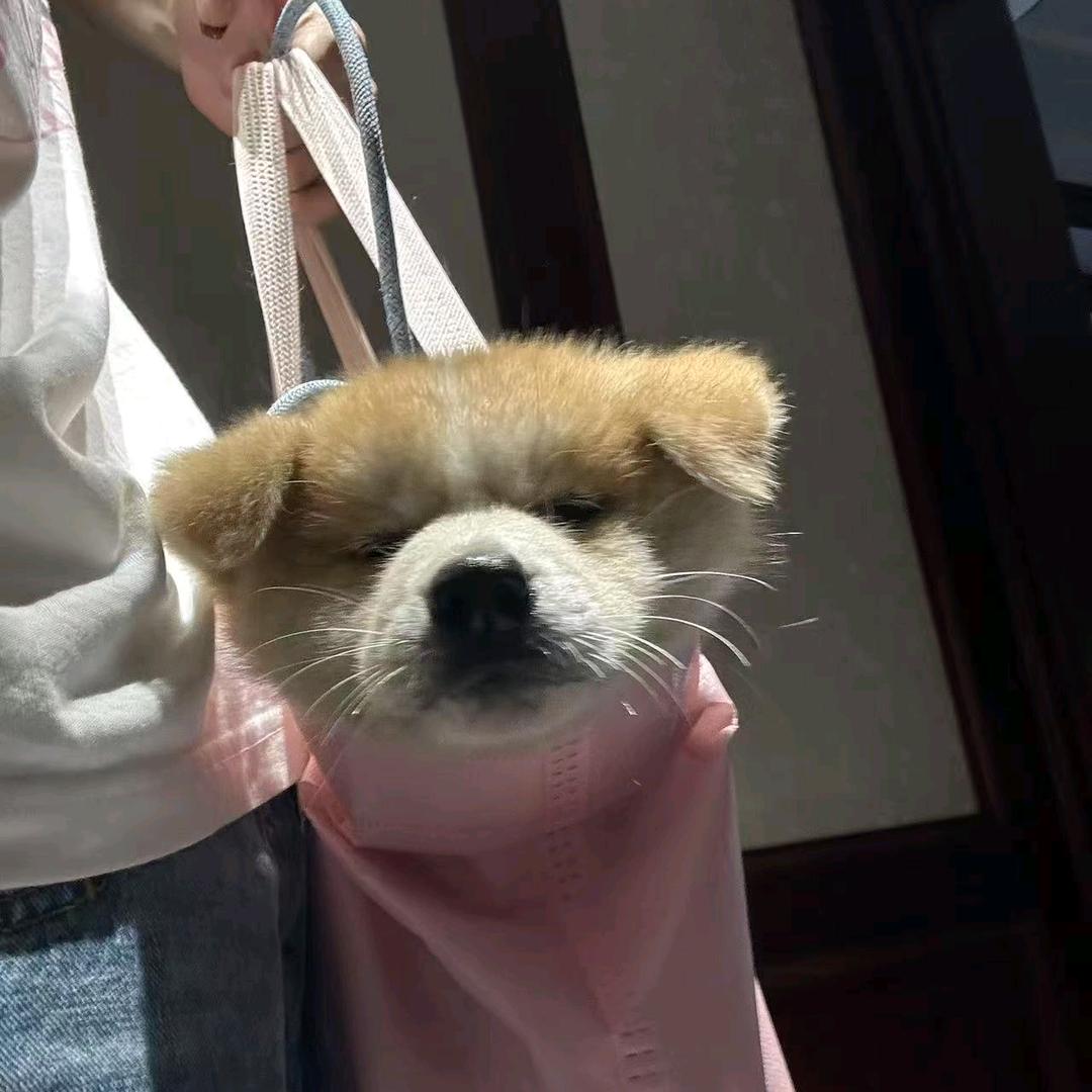 一直喝中药