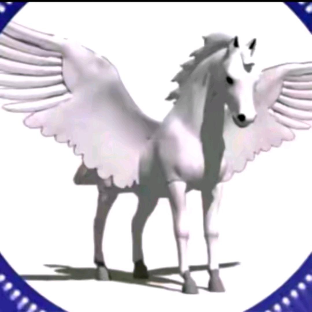 天马🐎