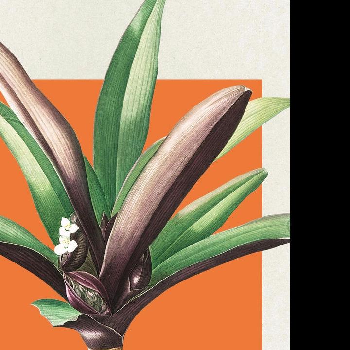 八十（多多🈴什么做）