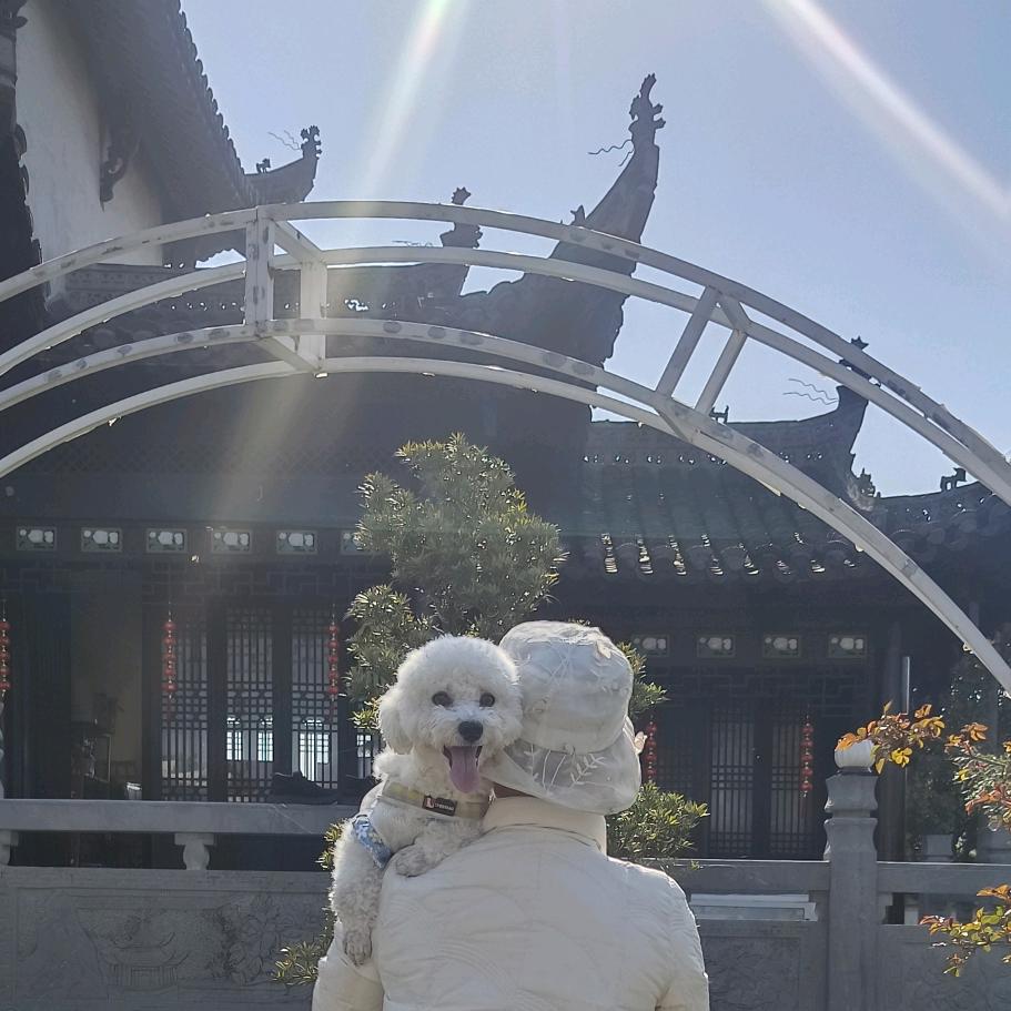 吴糖气泡水