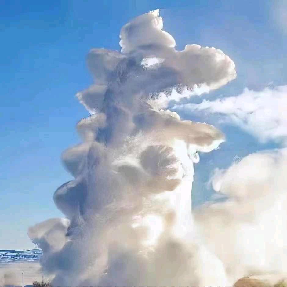一只小胖虎丫