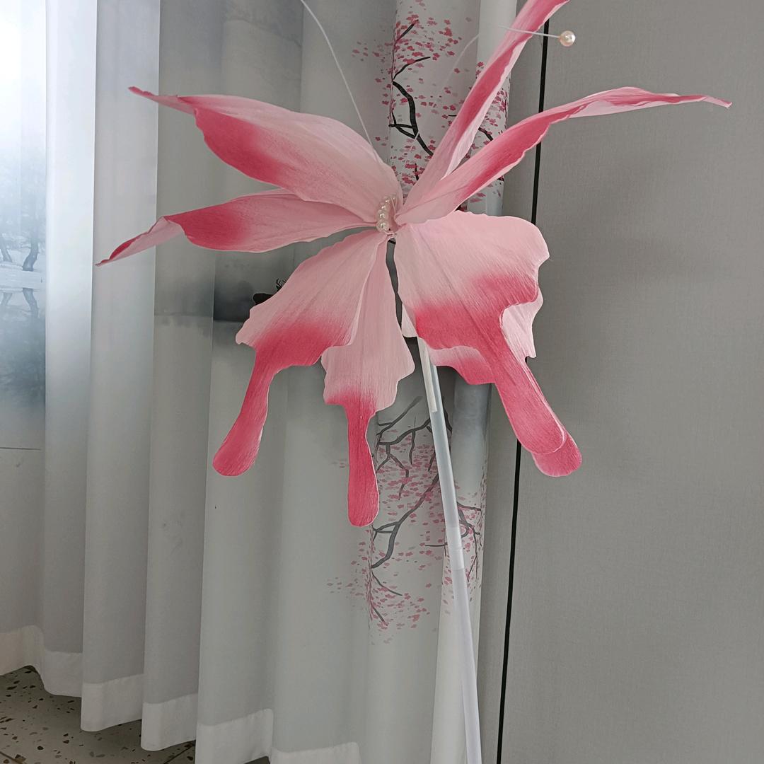 芳姐爱唱歌🎤🎤