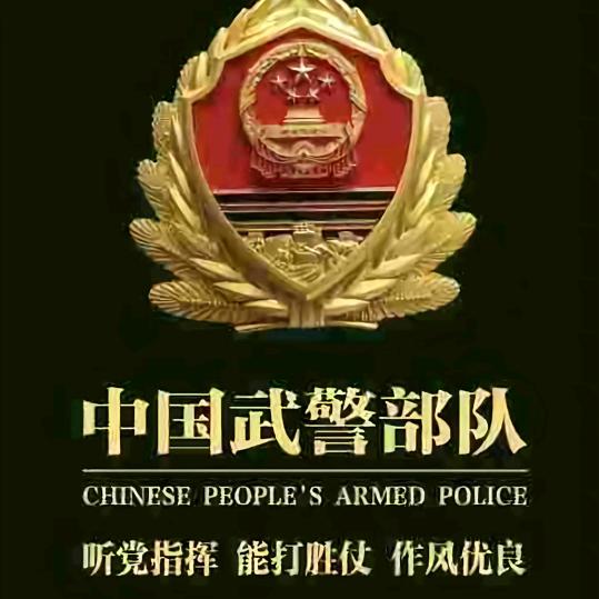 单身狗哥（陈政）