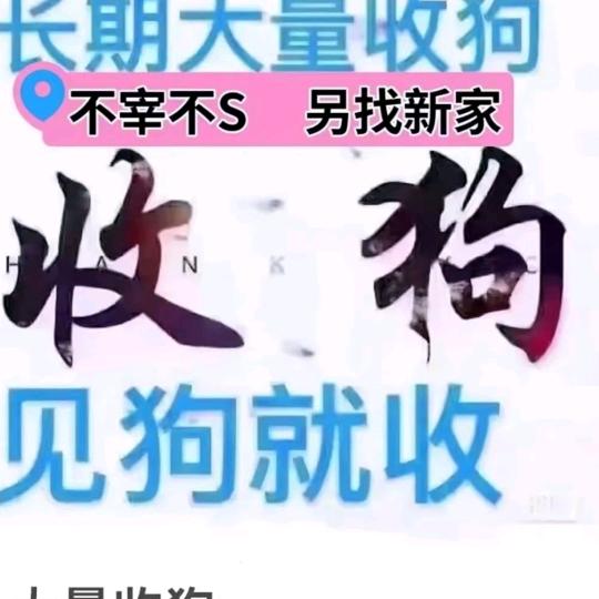 收狗卖狗《闫龍代购》🐕