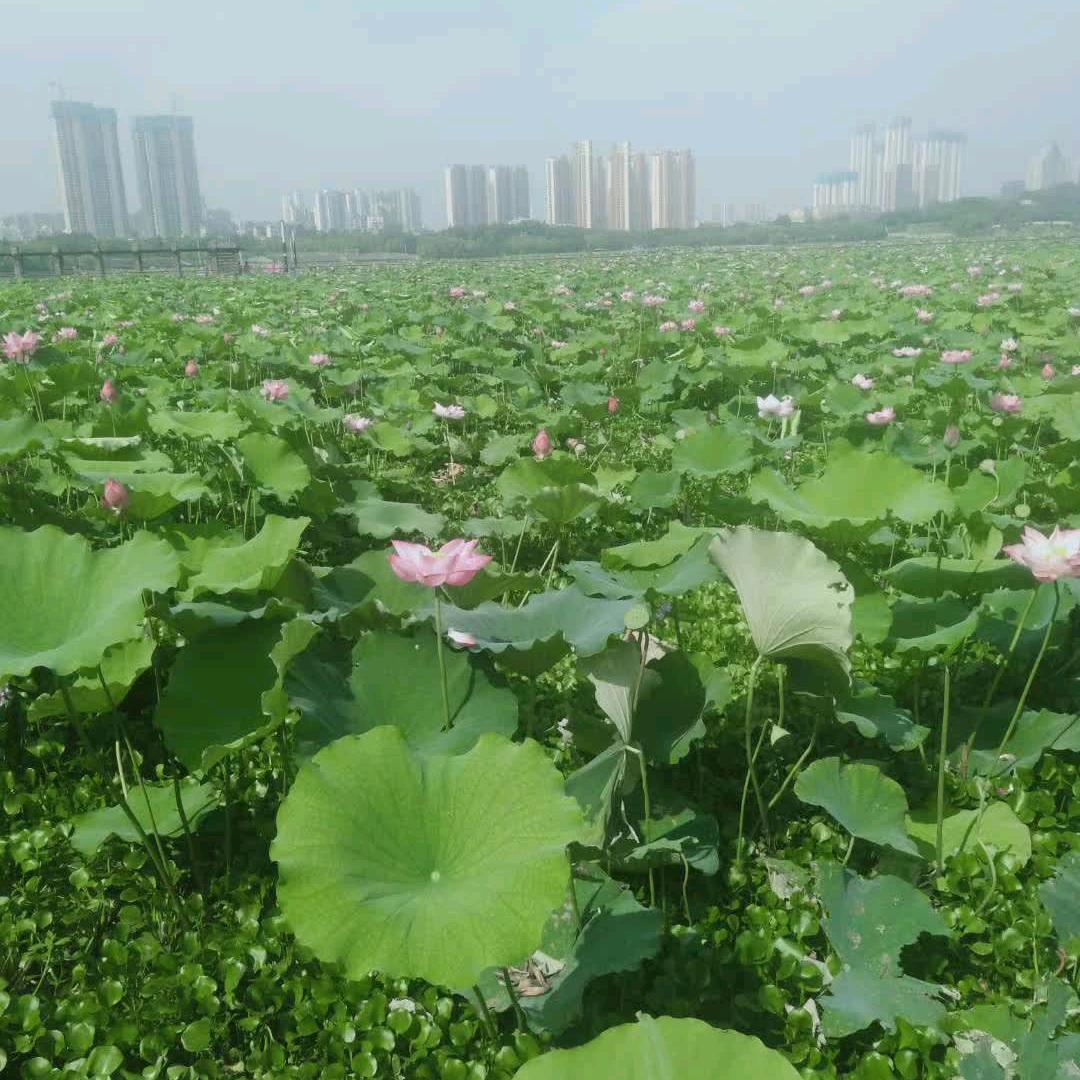 爱是你我♥无怨无悔