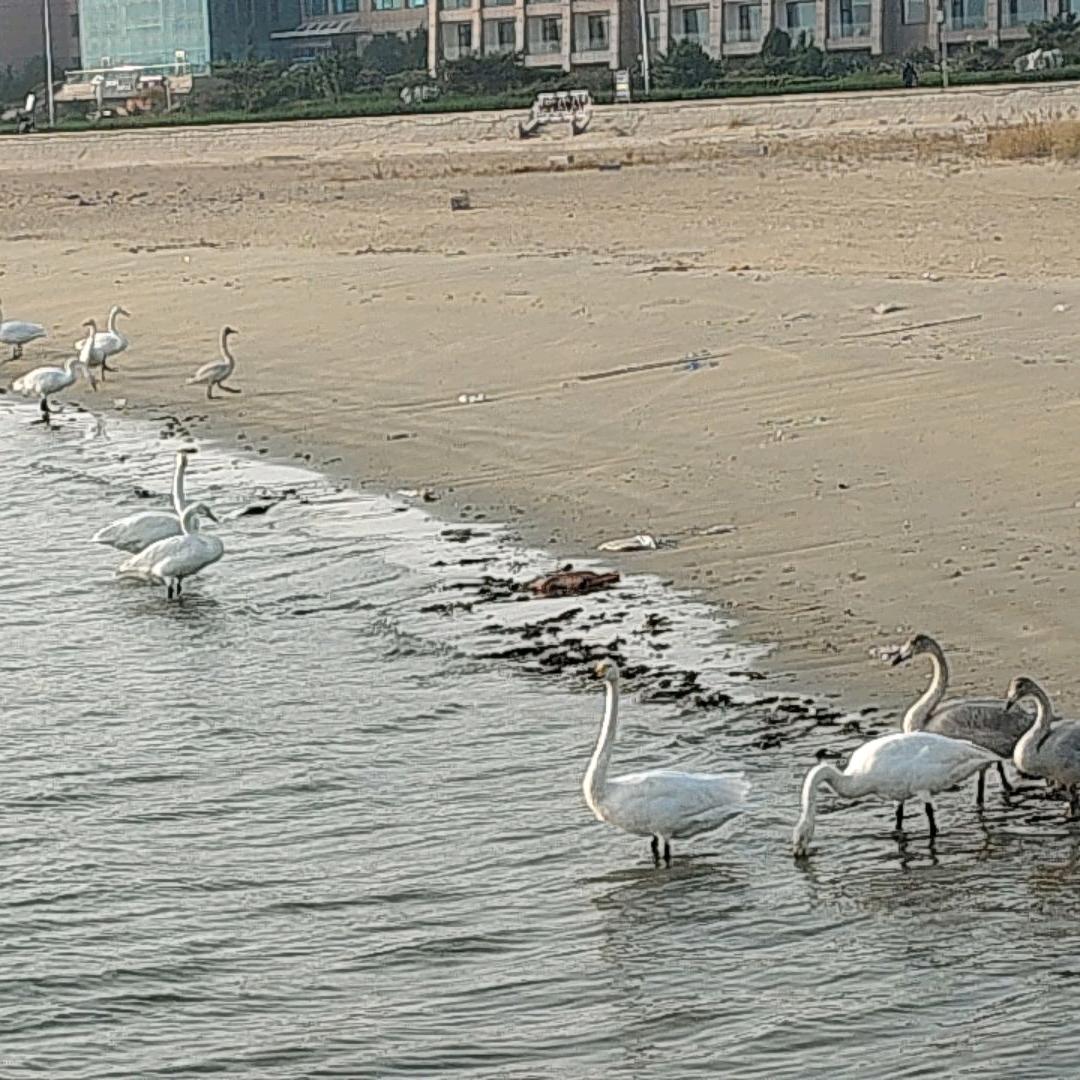 小姐姐