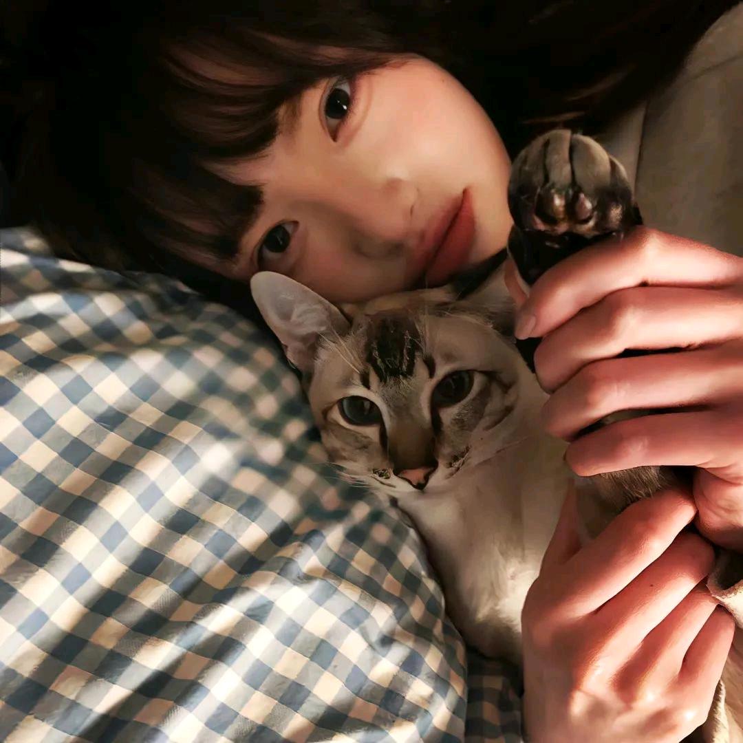 困困猫大王