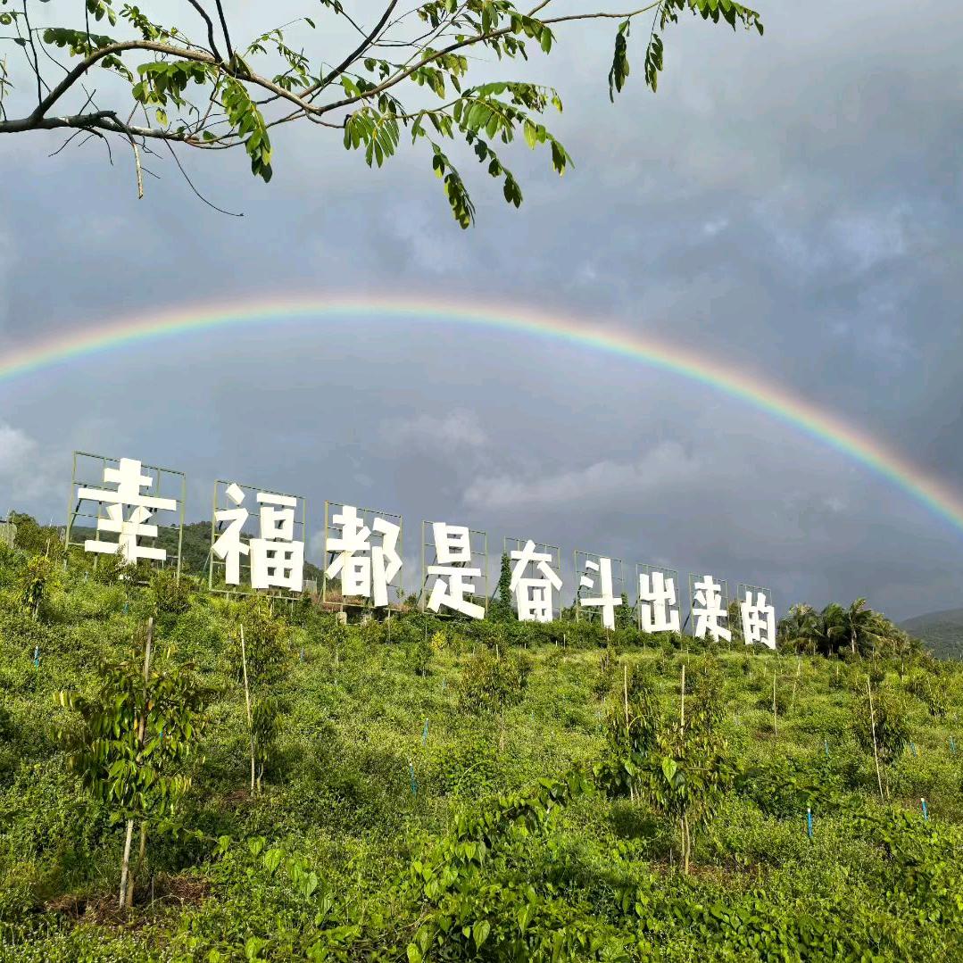 事事其乐