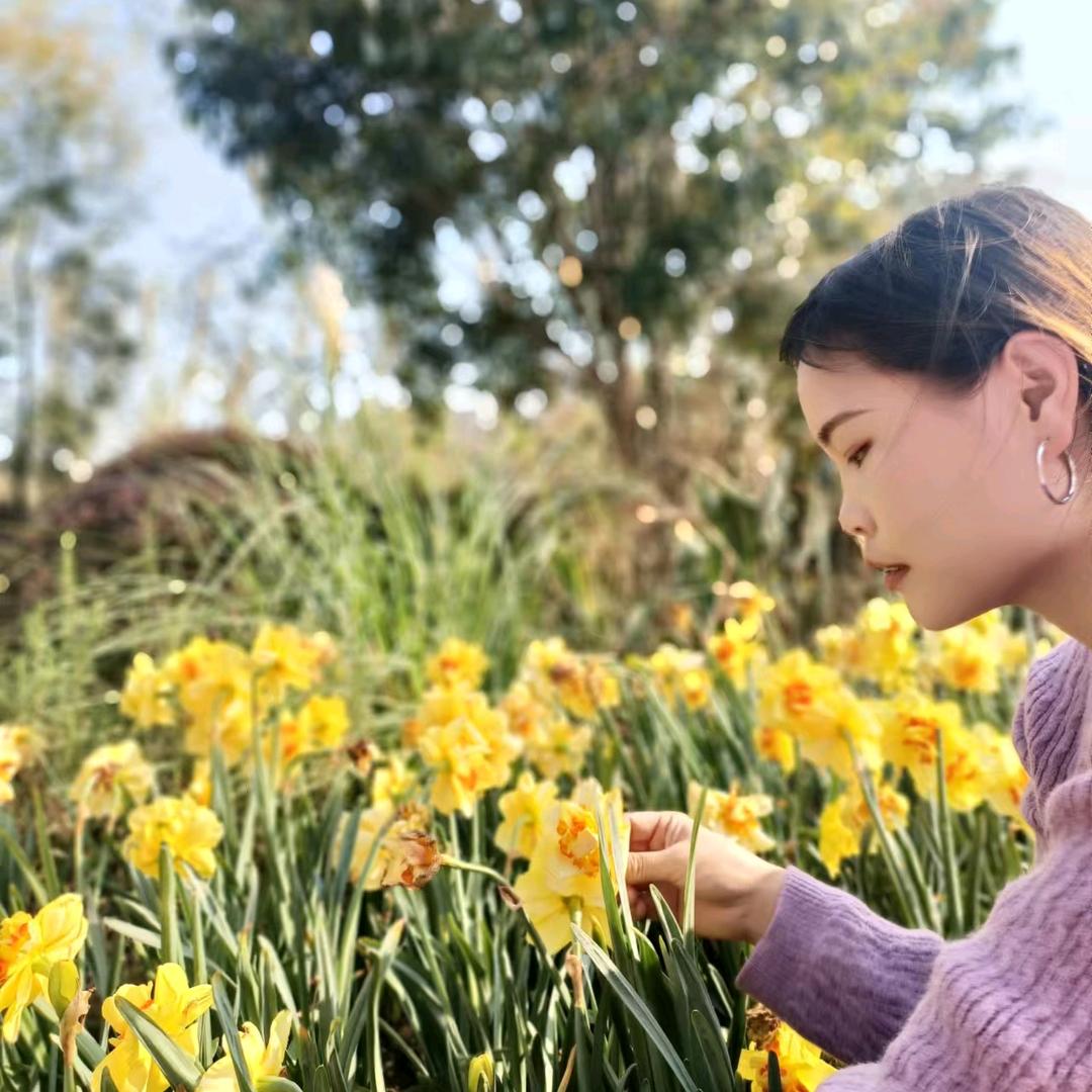 小菲菲