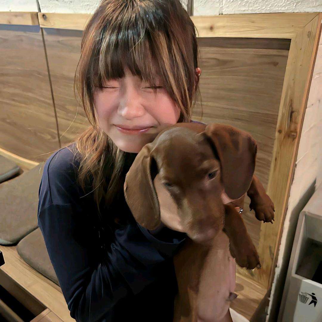 小杜₊₁+1⁺¹（百庆天11.21）