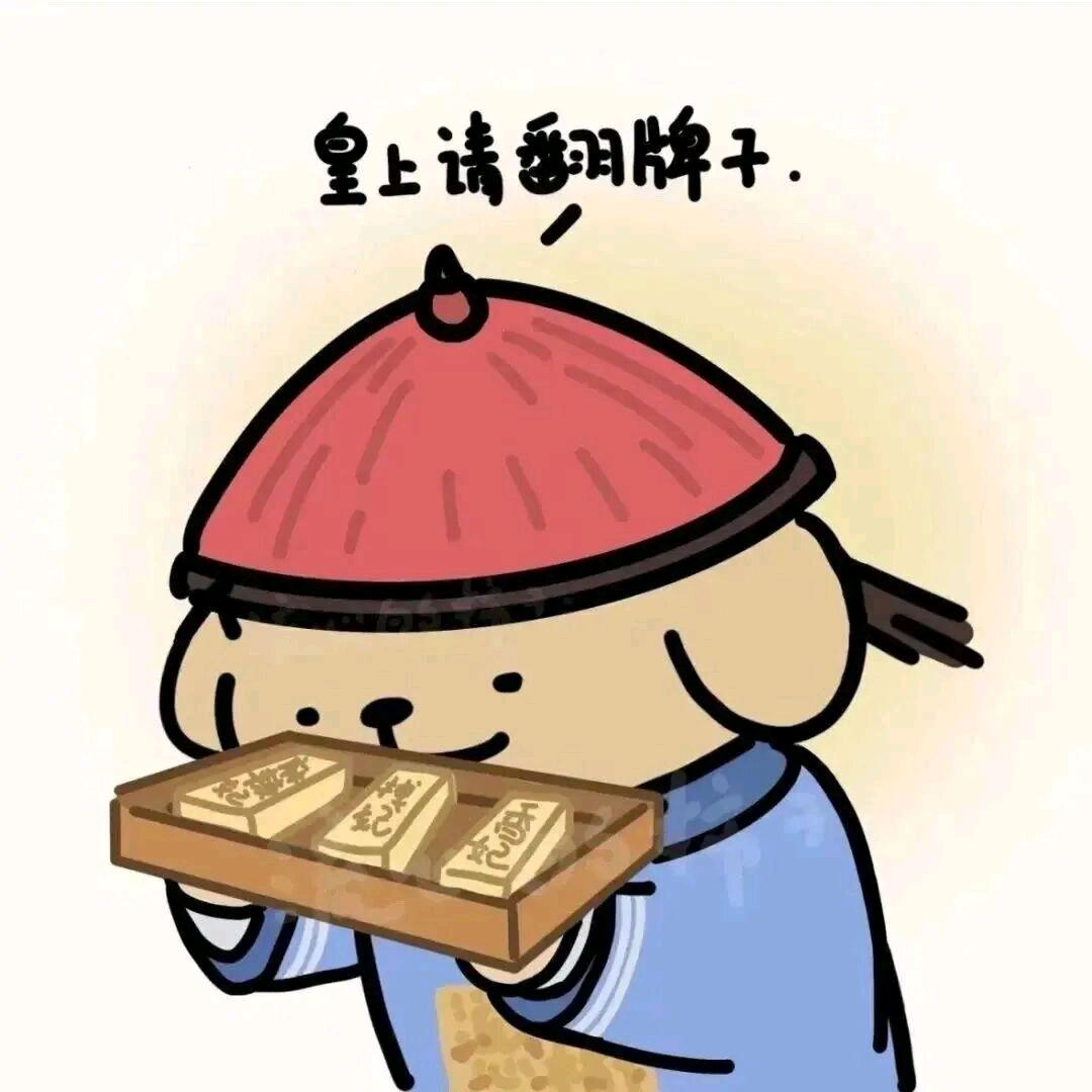 南山男🦁