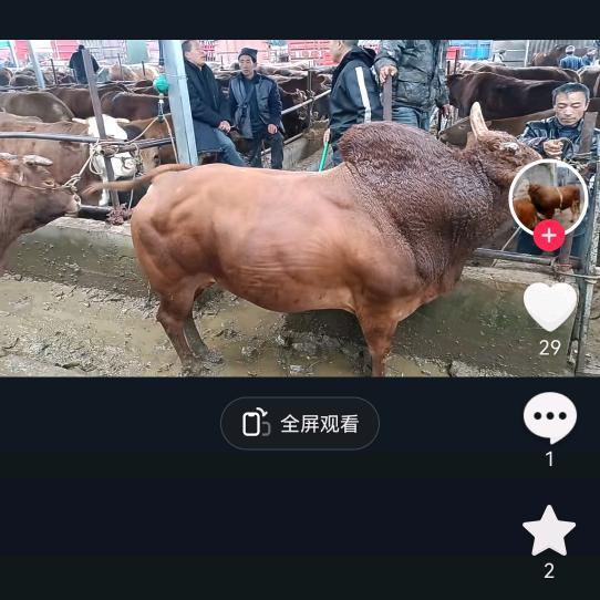 用户5406581640331