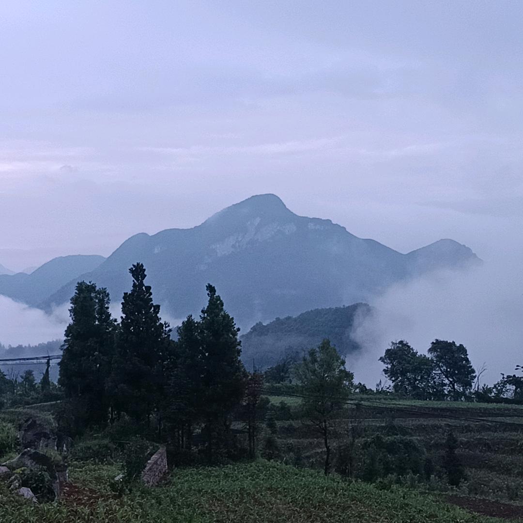 李云永