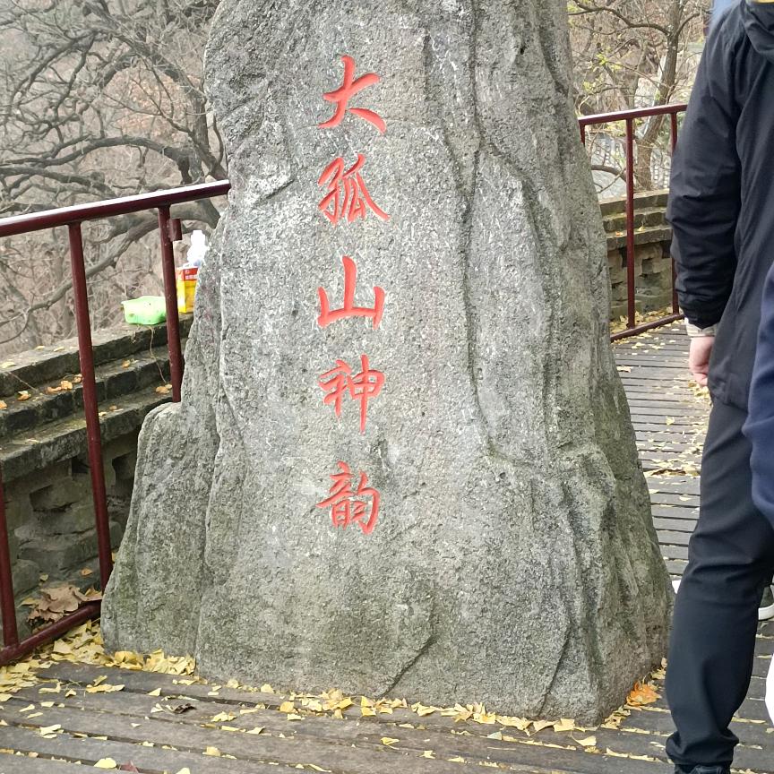 兜兜里有豆豆
