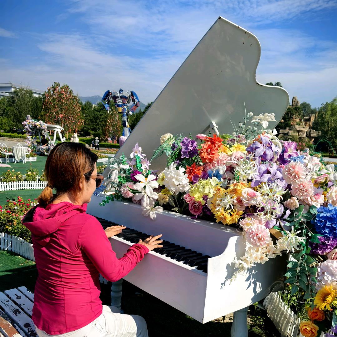 董家公主果蔬供应链