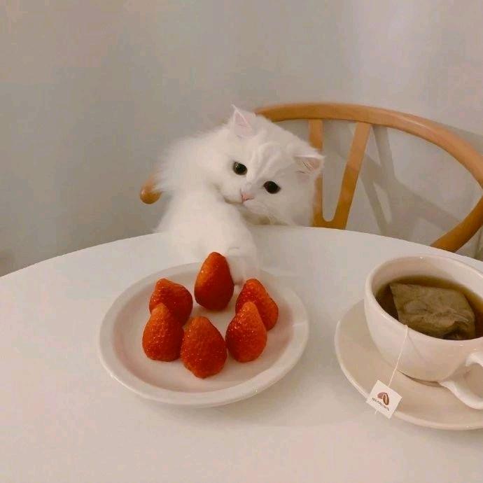 晚安.