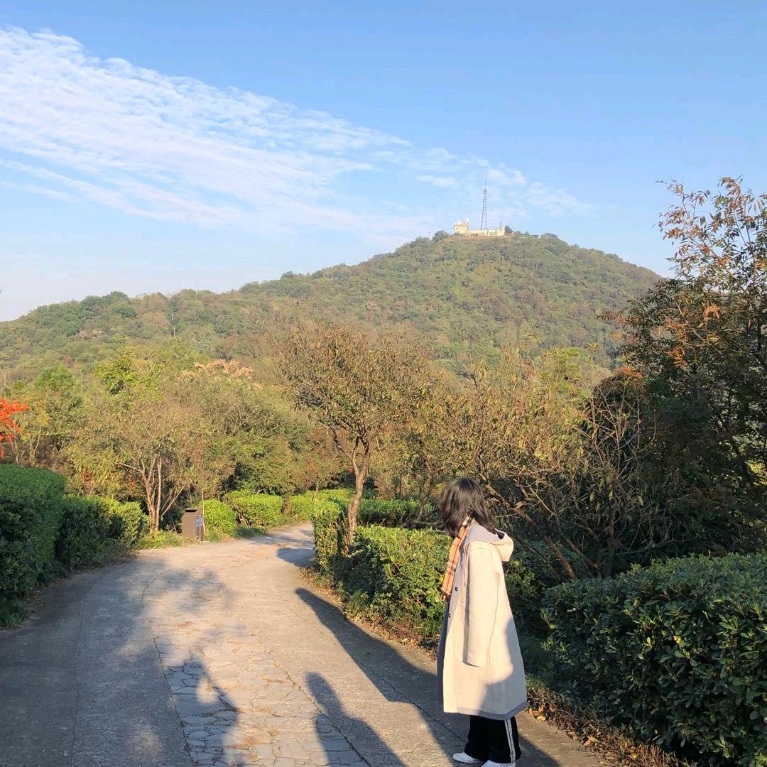 娟娟娟