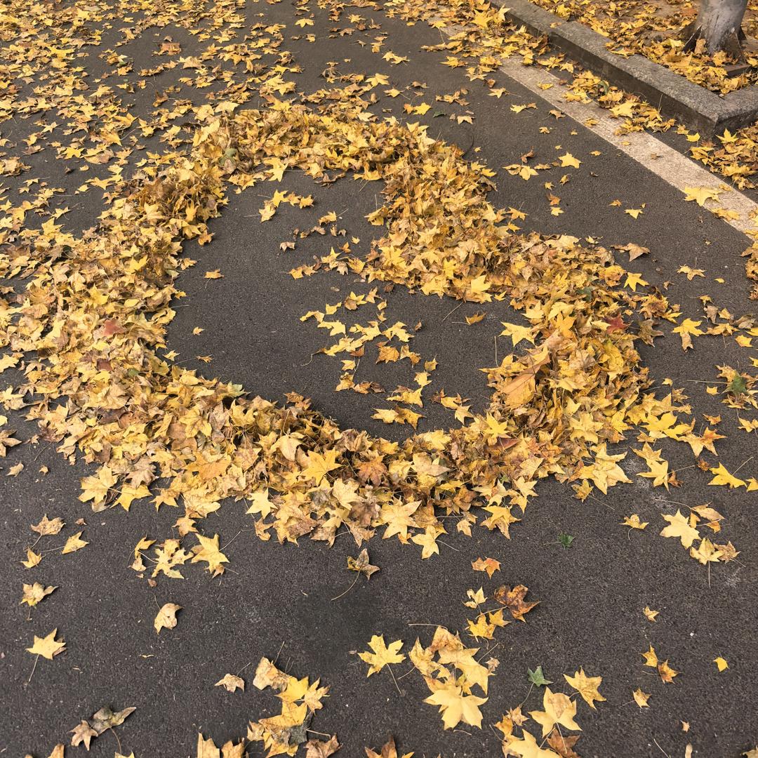 ૮₍ ˶•‸•˶₎ა