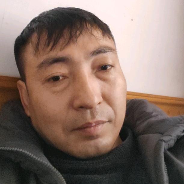大灰羊