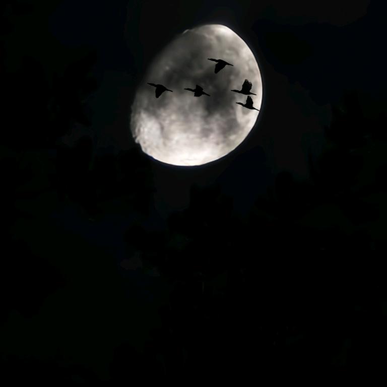 太初大马士革刀具