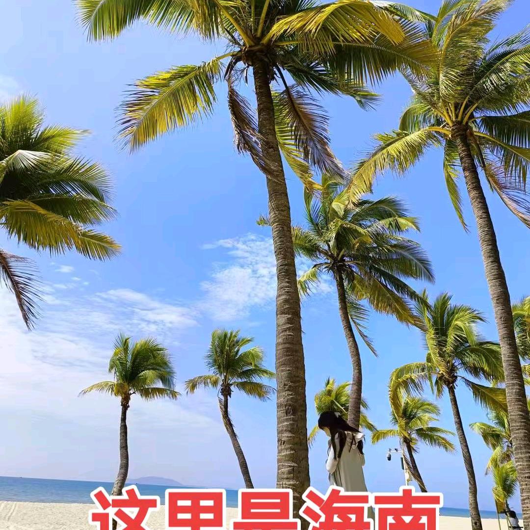 珍公