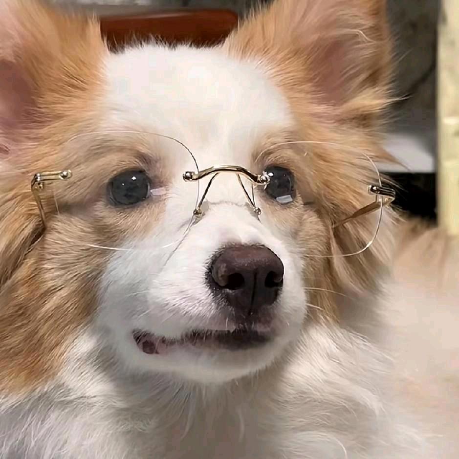 🐦BlankSoul³³⁰