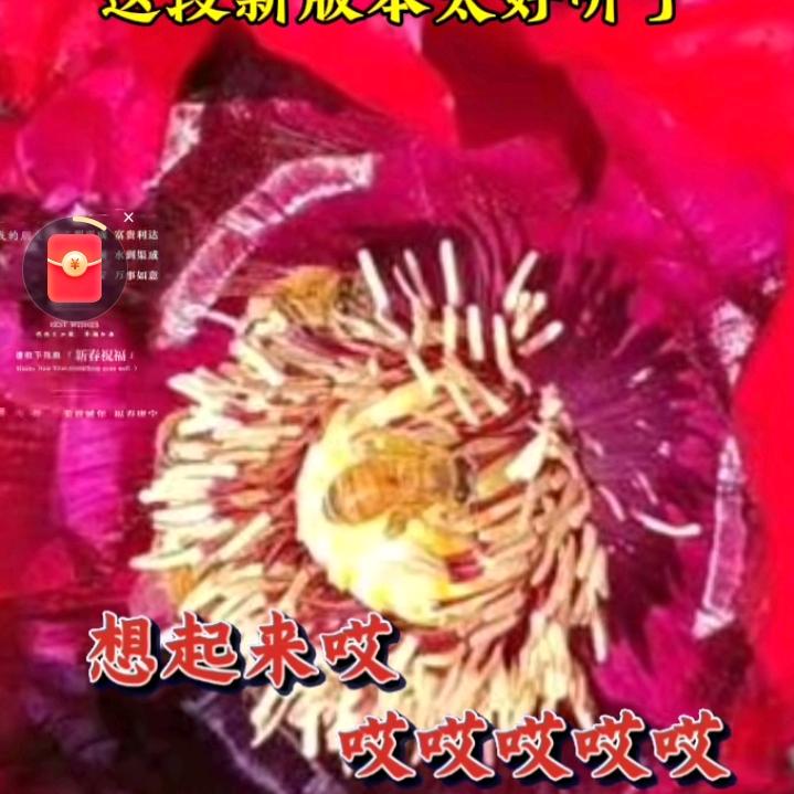 平安富贵