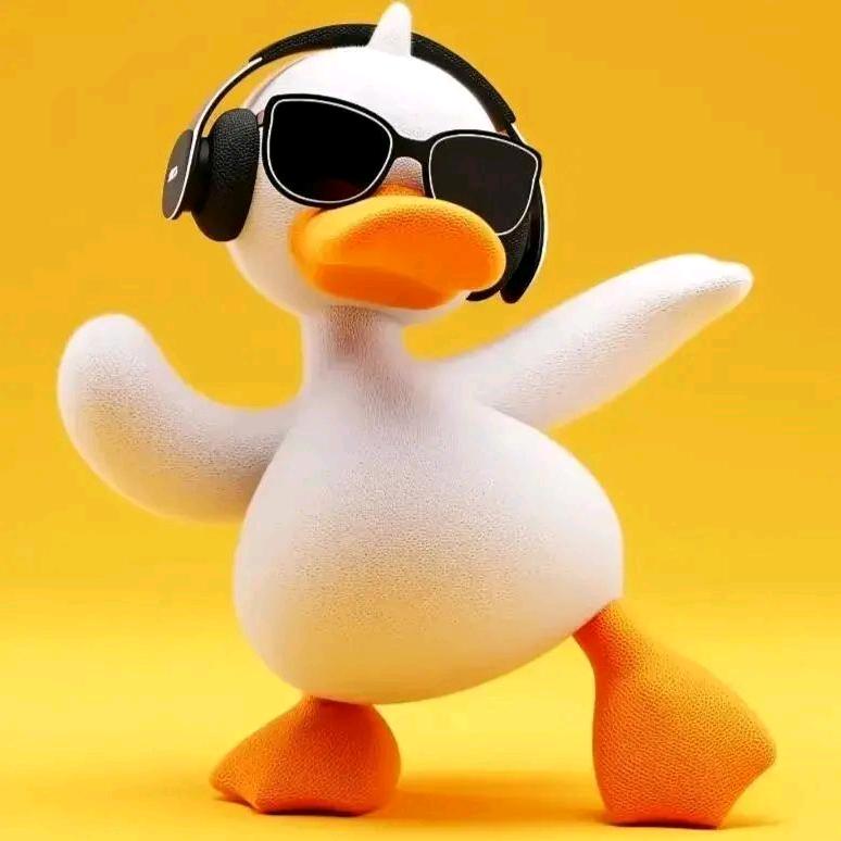 暴走的大鹅🦢