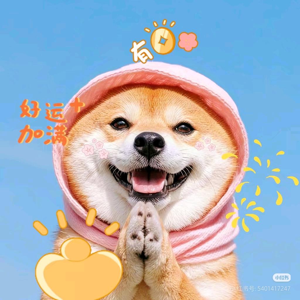 @︷o蔠↘嚸