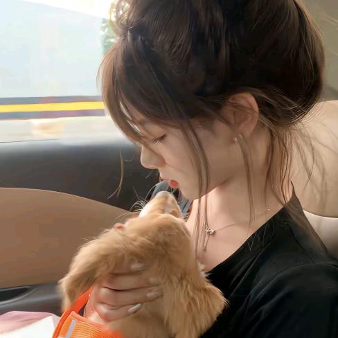 ── 展开985条回复 ⌵