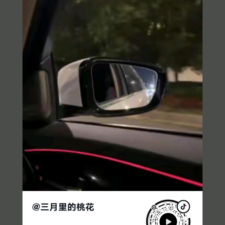 三月里的桃花