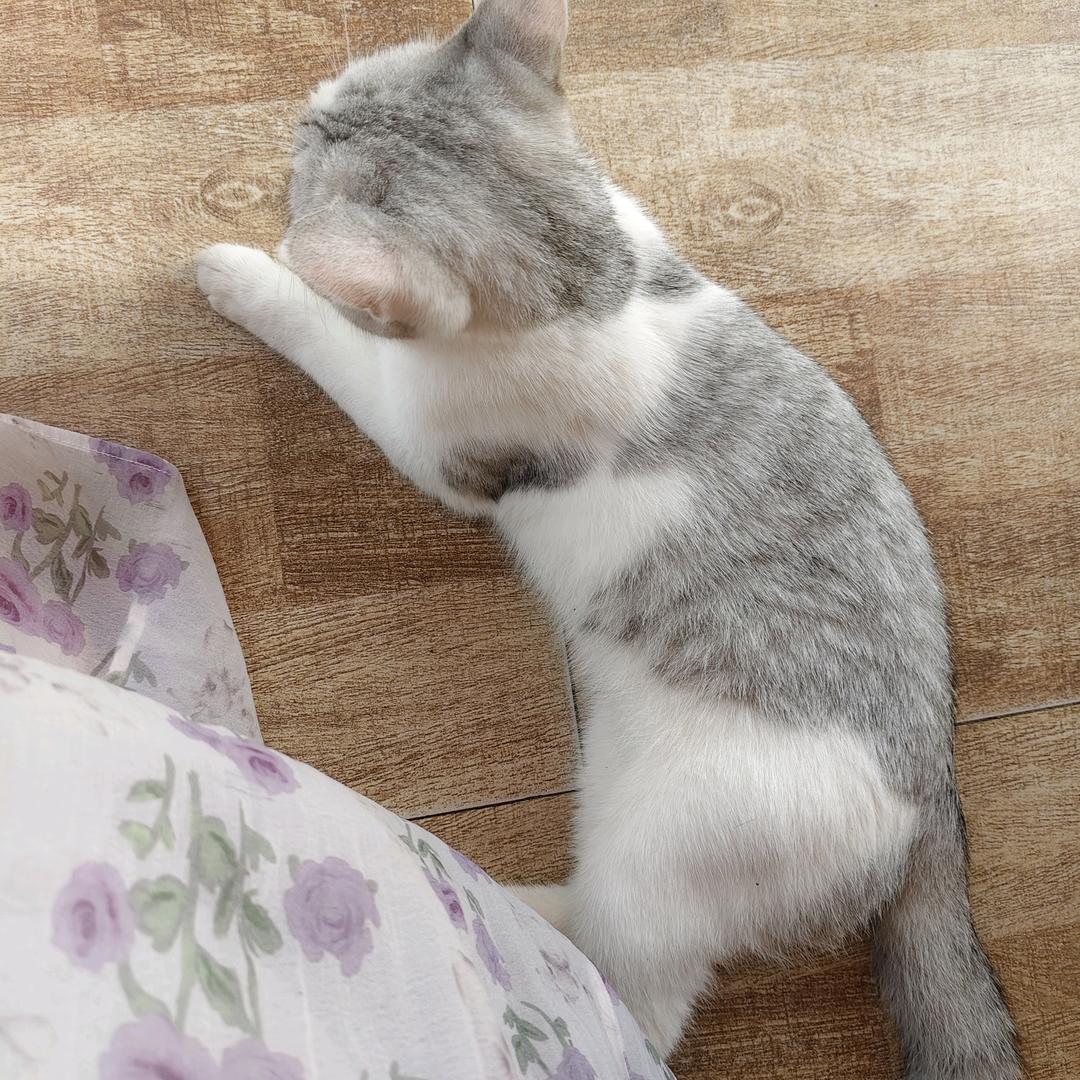 倒霉的日子怎么还望不到头？ㅍ_ㅍ