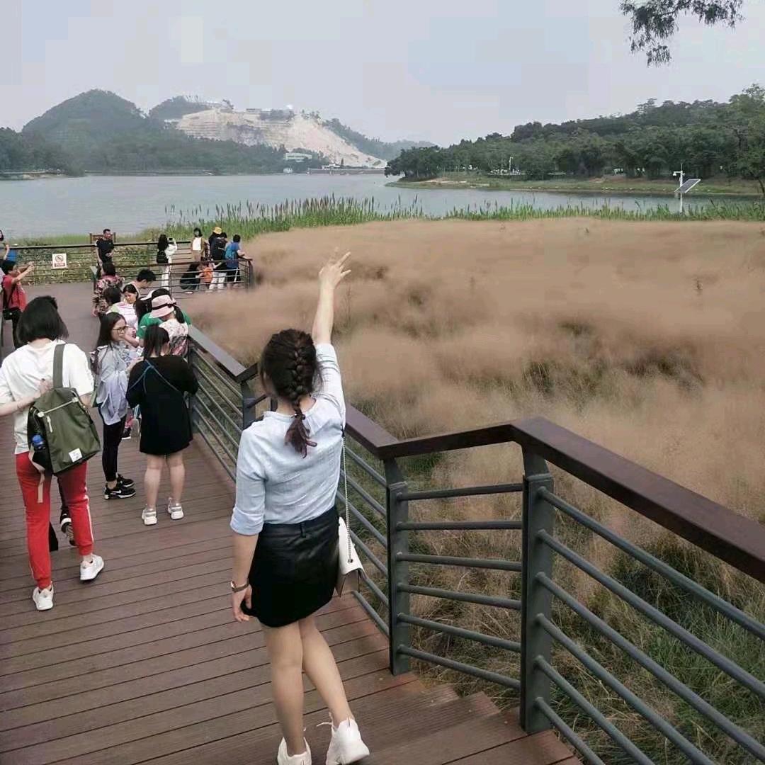 陕西姑娘在广东（拒私聊勿连赞）