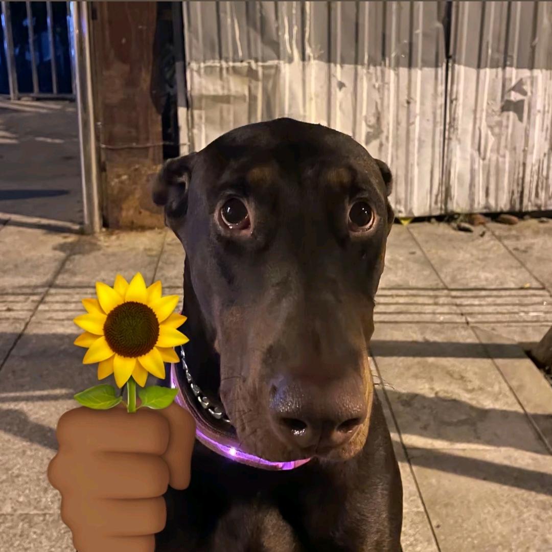 只要名字长一点就会有傻子跟着念